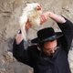 Image for article titled Orthodox Jews Debate Chicken-Swinging Ritual